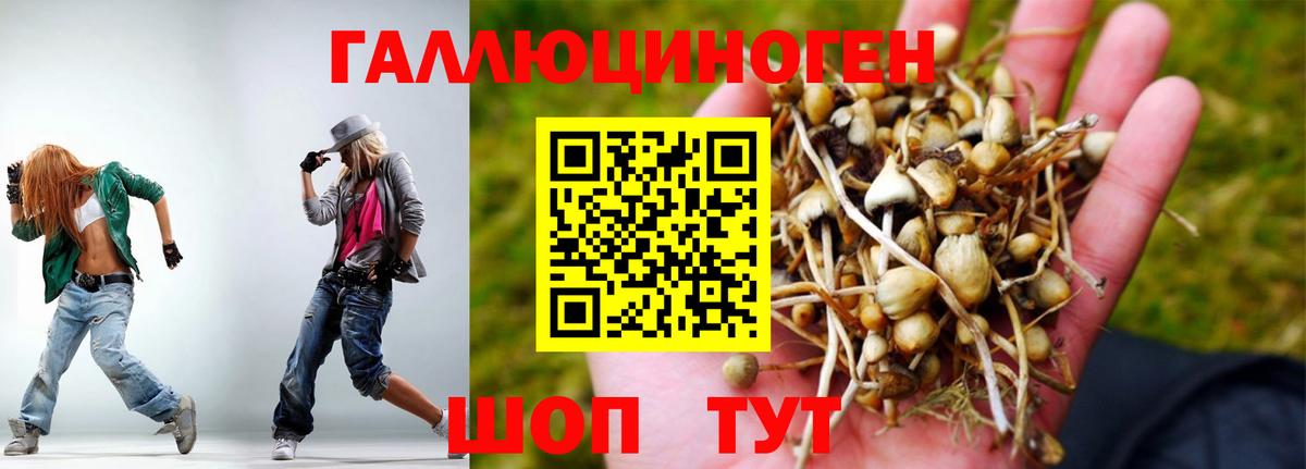 Галлюциногенные грибы Cubensis  Галлюциногенные грибы GOLDEN TEACHER  Волгодонск  Вход с VPN 
